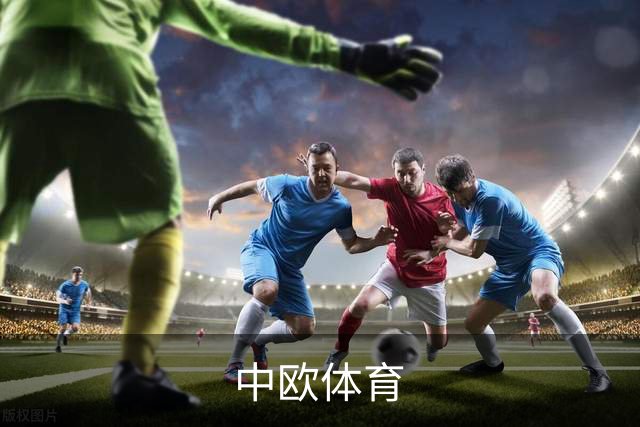 中欧体育公司简介配图